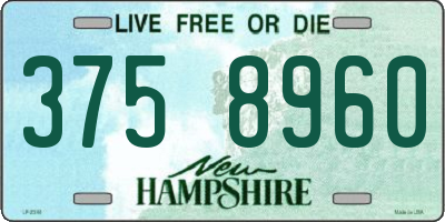 NH license plate 3758960