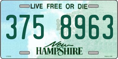 NH license plate 3758963