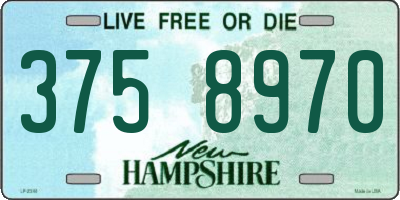 NH license plate 3758970