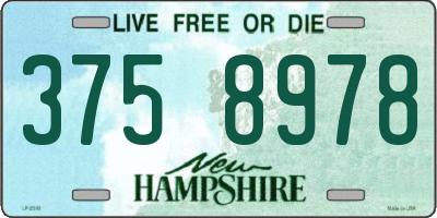 NH license plate 3758978