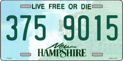 NH license plate 3759015