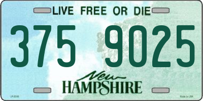 NH license plate 3759025