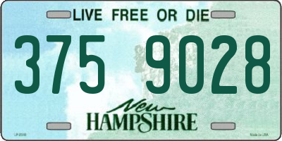 NH license plate 3759028