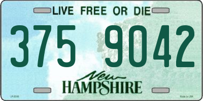 NH license plate 3759042
