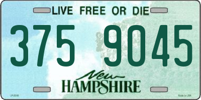 NH license plate 3759045