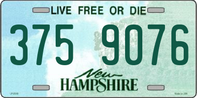 NH license plate 3759076