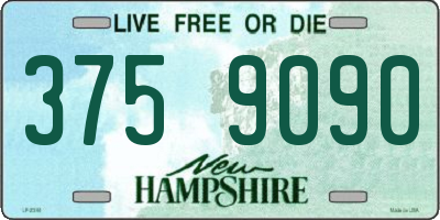 NH license plate 3759090