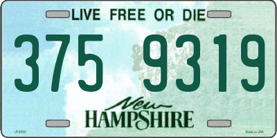 NH license plate 3759319