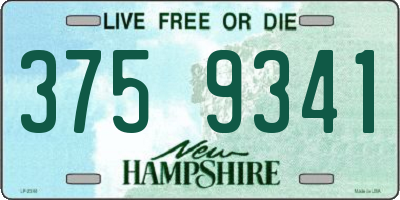 NH license plate 3759341