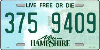 NH license plate 3759409