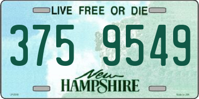 NH license plate 3759549