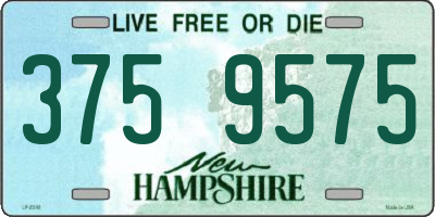 NH license plate 3759575