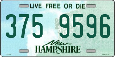 NH license plate 3759596