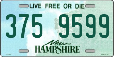 NH license plate 3759599