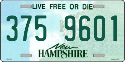 NH license plate 3759601