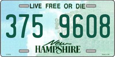 NH license plate 3759608