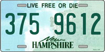 NH license plate 3759612