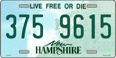NH license plate 3759615