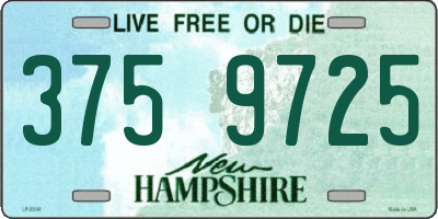 NH license plate 3759725