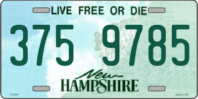 NH license plate 3759785