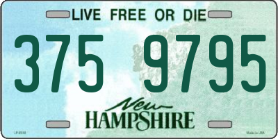 NH license plate 3759795