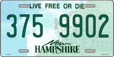 NH license plate 3759902