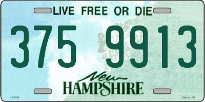 NH license plate 3759913