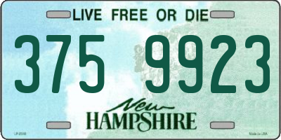 NH license plate 3759923