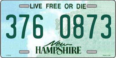 NH license plate 3760873