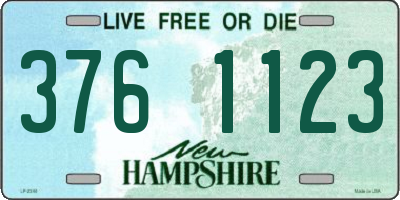 NH license plate 3761123