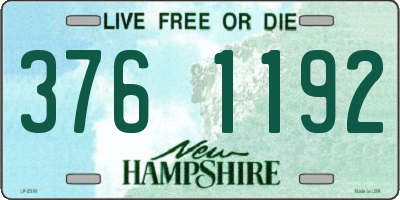 NH license plate 3761192