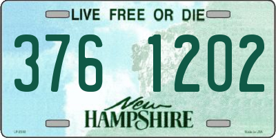 NH license plate 3761202