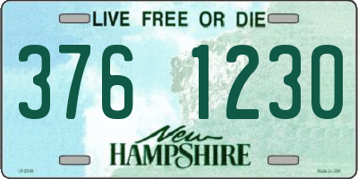 NH license plate 3761230