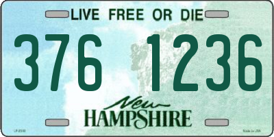 NH license plate 3761236