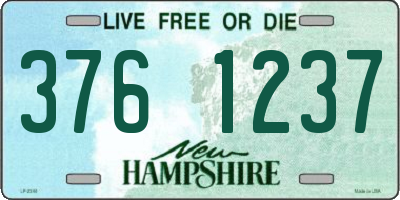 NH license plate 3761237