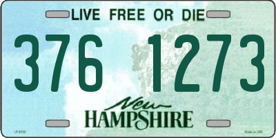 NH license plate 3761273
