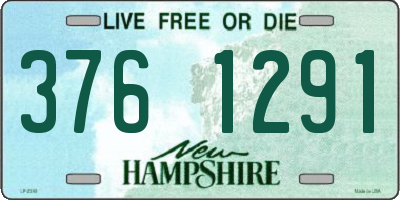 NH license plate 3761291
