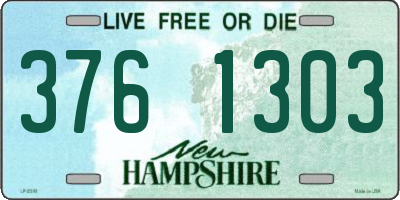 NH license plate 3761303