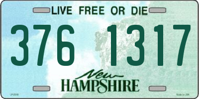 NH license plate 3761317