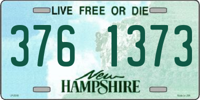 NH license plate 3761373