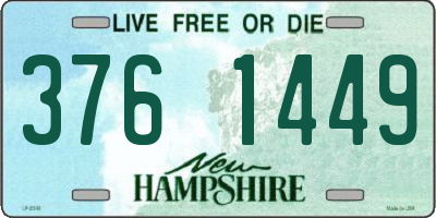 NH license plate 3761449