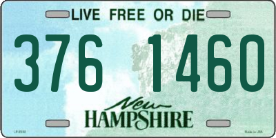 NH license plate 3761460