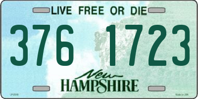 NH license plate 3761723