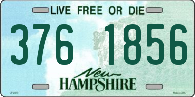 NH license plate 3761856