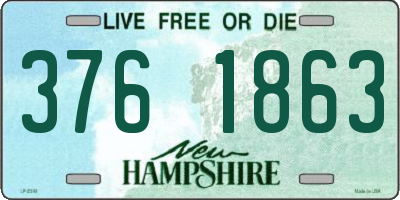 NH license plate 3761863