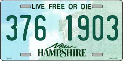 NH license plate 3761903