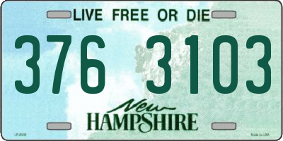NH license plate 3763103