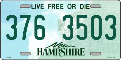 NH license plate 3763503