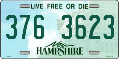 NH license plate 3763623