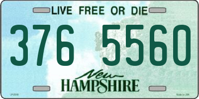 NH license plate 3765560
